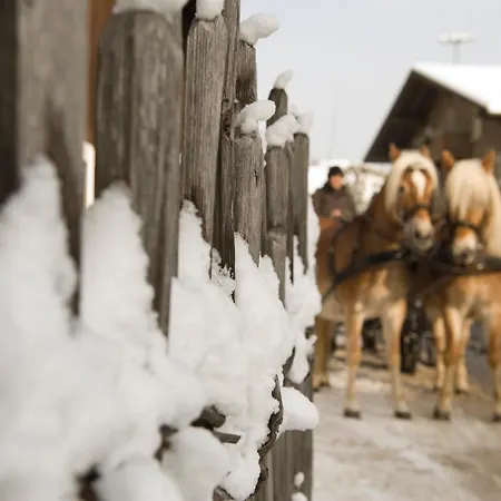 Seetals Wohnwelt Apartmán Stumm