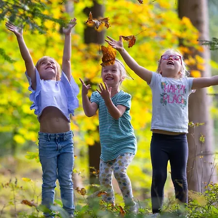 Seetals Wohnwelt Stumm