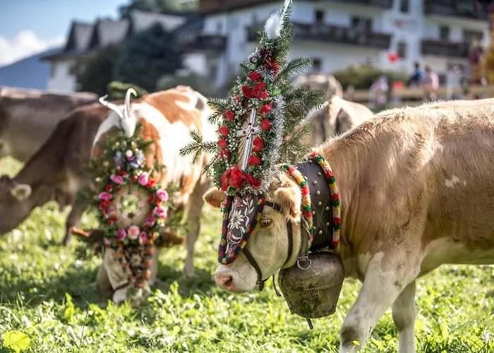 Apartment Seetals Wohnwelt