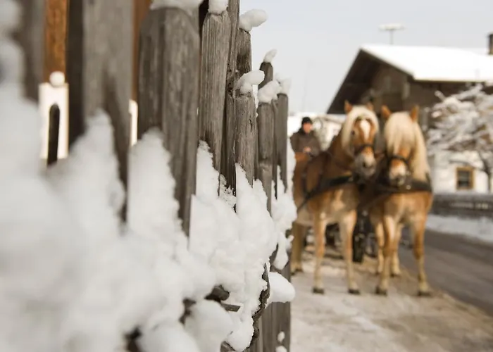 Seetals Wohnwelt Apartment Stumm